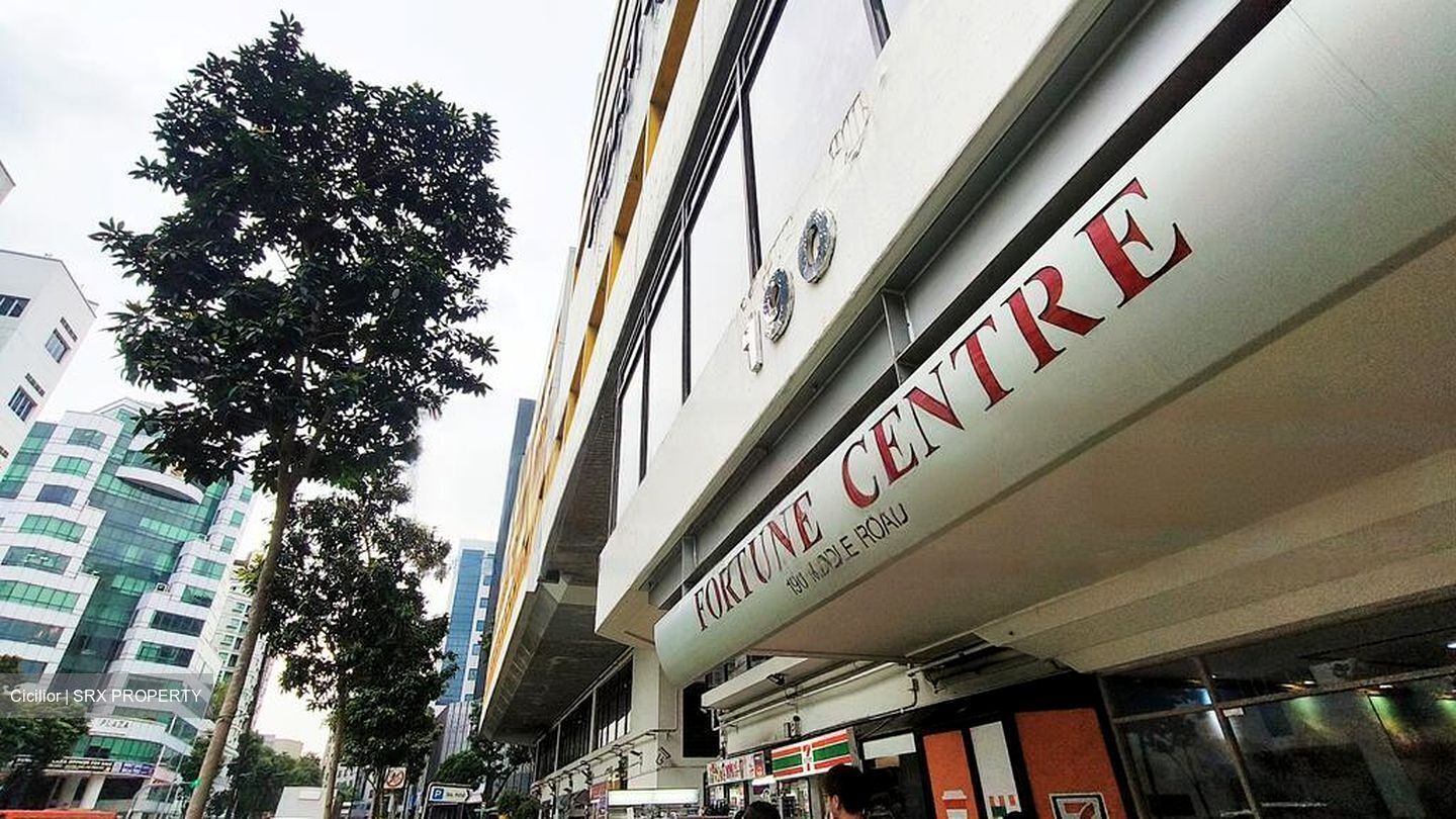 Fortune Centre (D7), Shop House #455686751